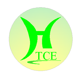 Công Ty CP Kỹ Thuật Xây Dựng Toyo Toyo Civil Engineering Corporation