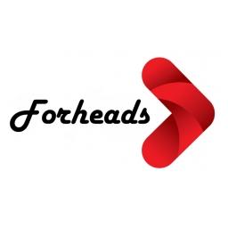 Chi Nhánh Công Ty Cổ Phần Trí Tuệ Tp Hà Nội