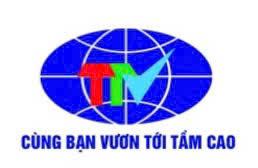 Công Ty TNHH Thang Máy Và Xây Dựng Trí Tuệ Việt