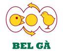 Bel Gà Việt Nam  Công Ty TNHH Bdh Việt Nam